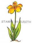 H-246 Daffodil